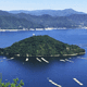 Ninoshima Island