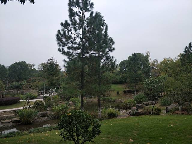 皋亭山景区-千桃园