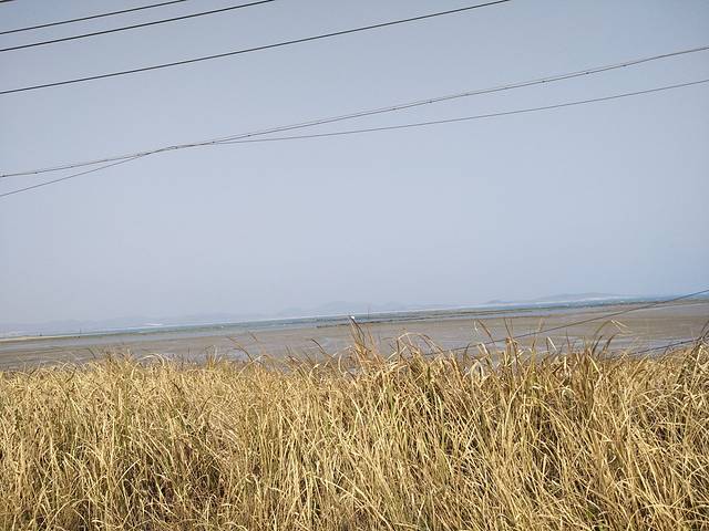 三联田横岛度假村