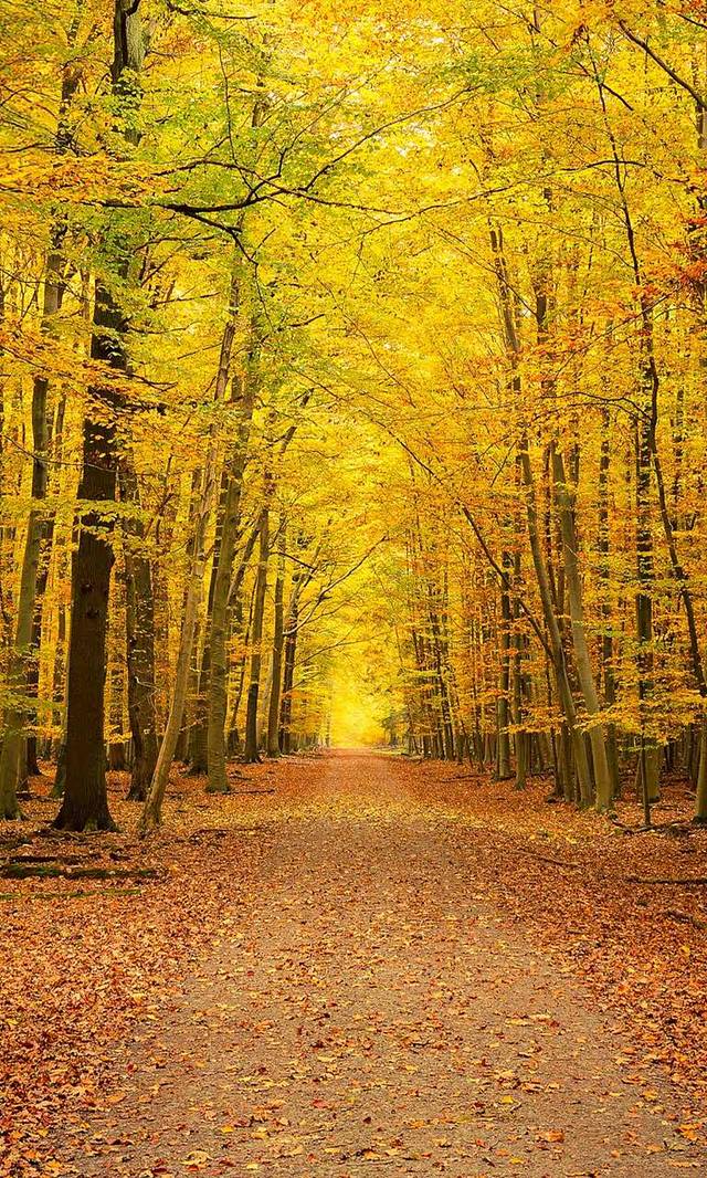 益禾堂(武汉理工余家头校区店)