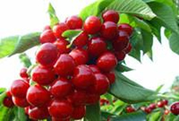 石臼所海鲜农贸市场