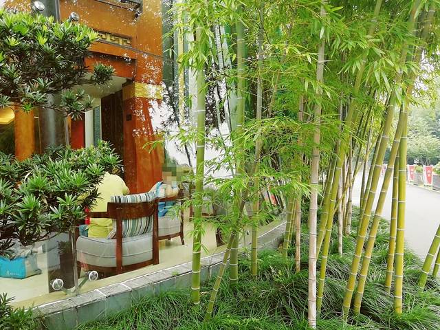 潮府馆(大宁灵石公园店)