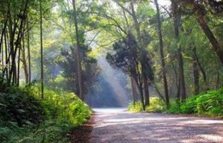 河洑国家森林公园