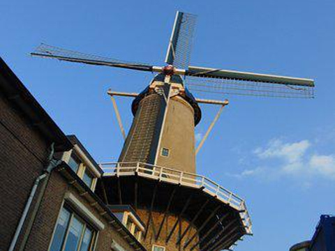 Red Lion Windmill (Molen De Roode Leeuw)旅游景点图片