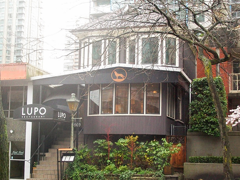Lupo Restaurant旅游景点图片