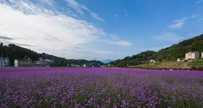 月亮花谷位于宜昌市秭归县茅坪镇,距三峡大坝5公里,翻坝高速直通景区