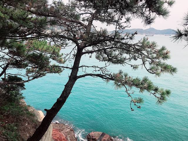 闲丽水道眺望缆车