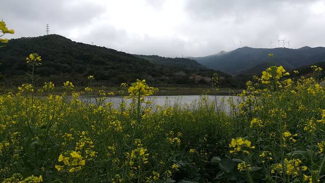 南澳白鹭生态公园