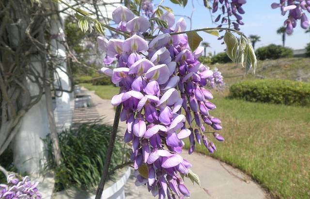 如东县人民公园