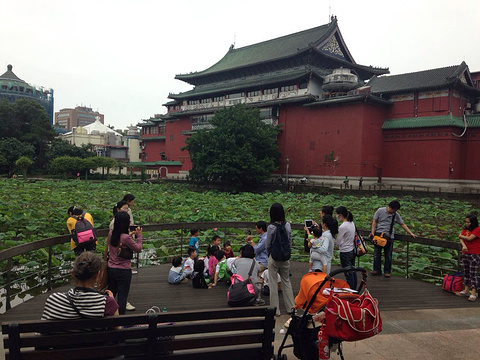 台北植物园旅游景点图片