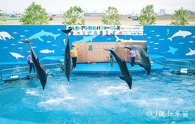 仙台海洋森林水族馆