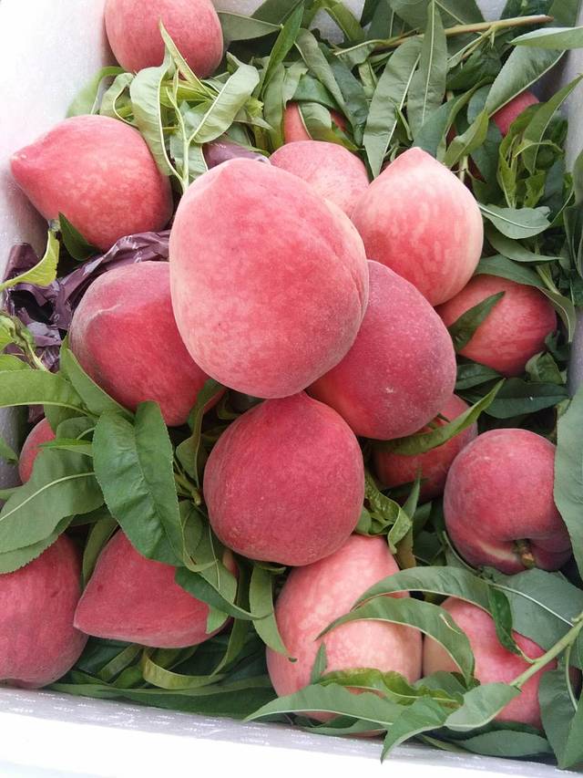 德惠超市(阳嘎中街店)