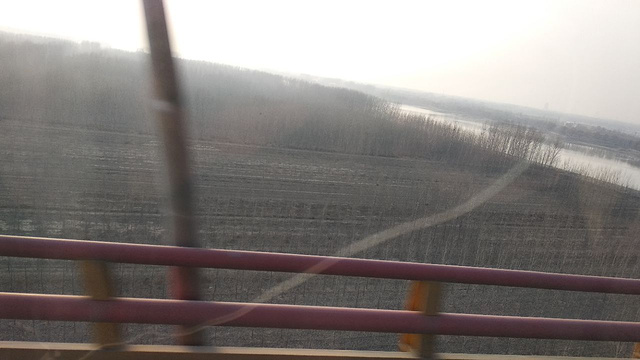 黄河大桥旅游景点图片