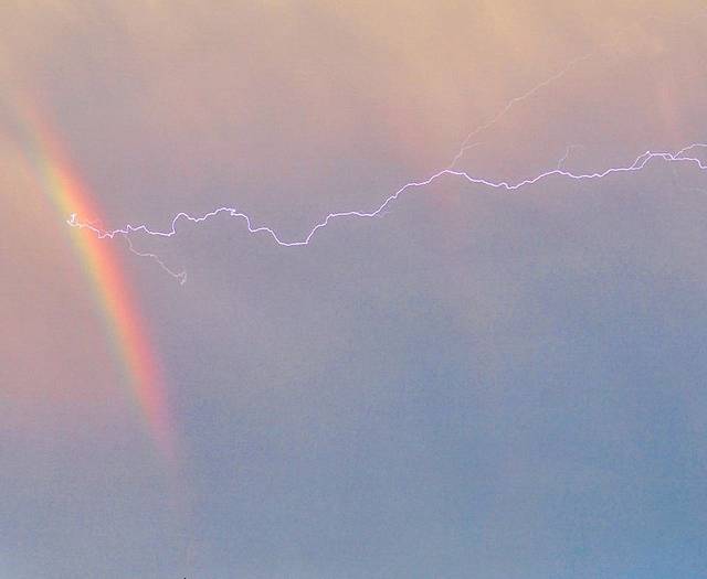 宝轩鱼府(一分店)