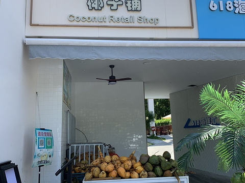 椰子铺·海南椰子鲜果专营店旅游景点图片