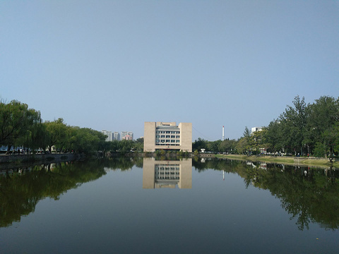 天津大学-敬业湖旅游景点图片