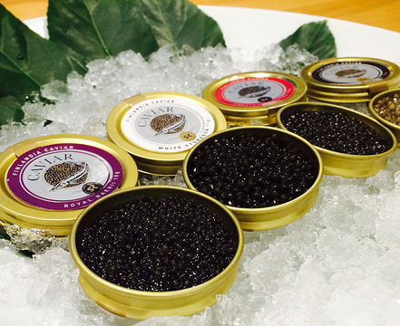 Finlandia Caviar