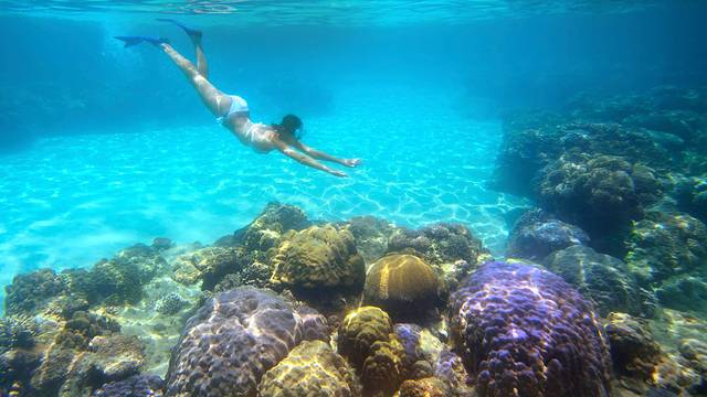 Dive and Adventure Philippines