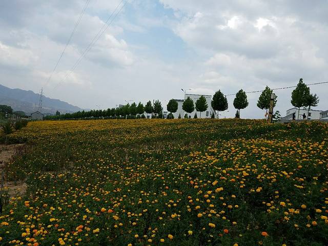 刘家峡恐龙国家地质公园