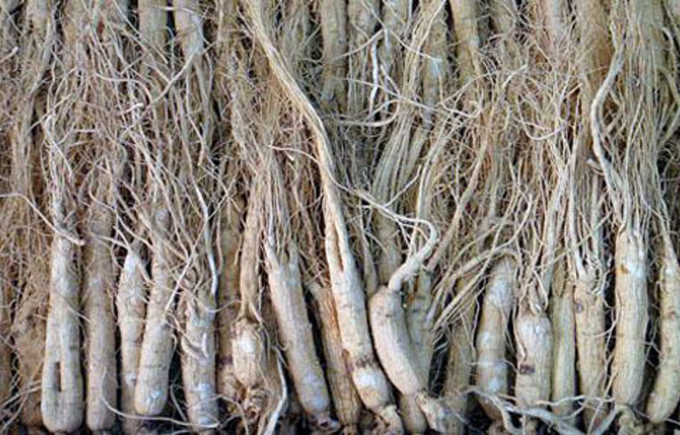 松江河旅游购物街