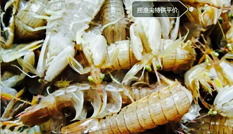 捞渔尖海鲜火锅(裕华店)