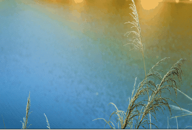 二滩国家森林公园