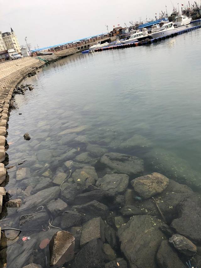 17号码头海鲜烤吧