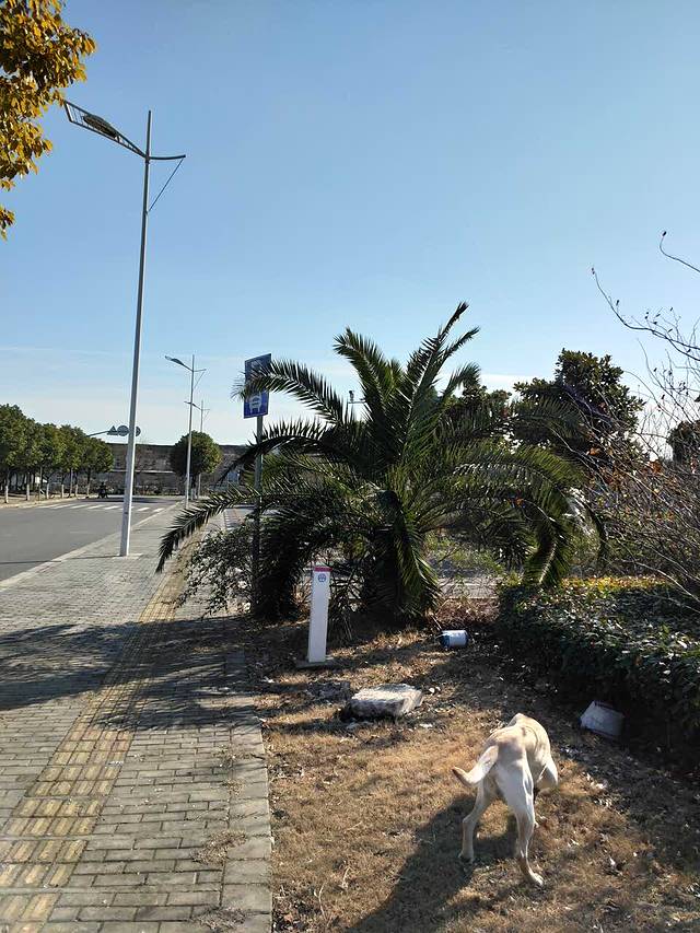 肯德基(祝桥店)