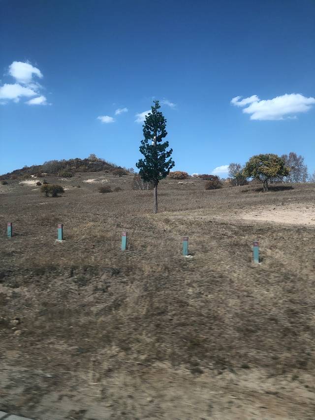 小天鹅清真饭店