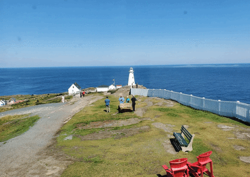 Cape Spear Lighthouse旅游景点图片
