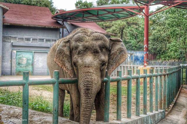 濮阳市中心动物园