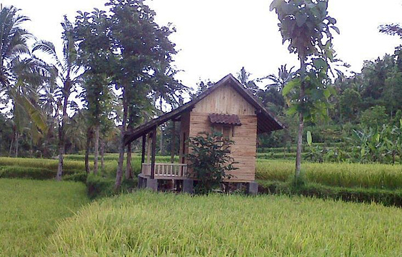 Pondok Bayu旅游景点图片