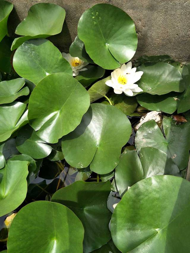 永和豆浆(建设路店)