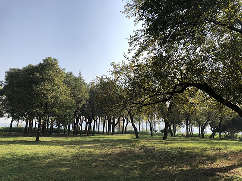 杨梅洲水上公园的图片