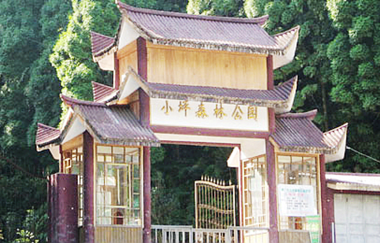 小坪森林公园