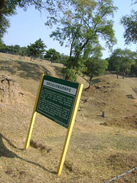 五龙山旅游风景区