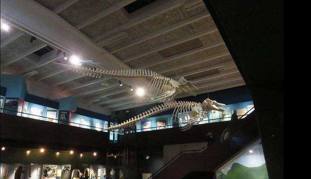 托尔斯港国家艺术馆