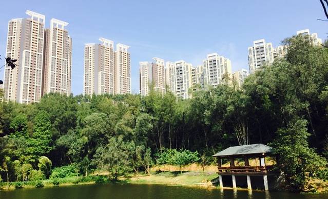 浔峰山生态公园