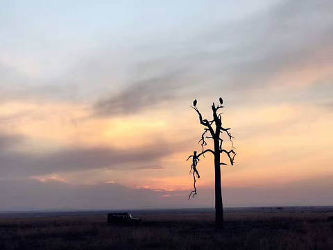 基苏木黑斑羚禁猎区旅游景点图片