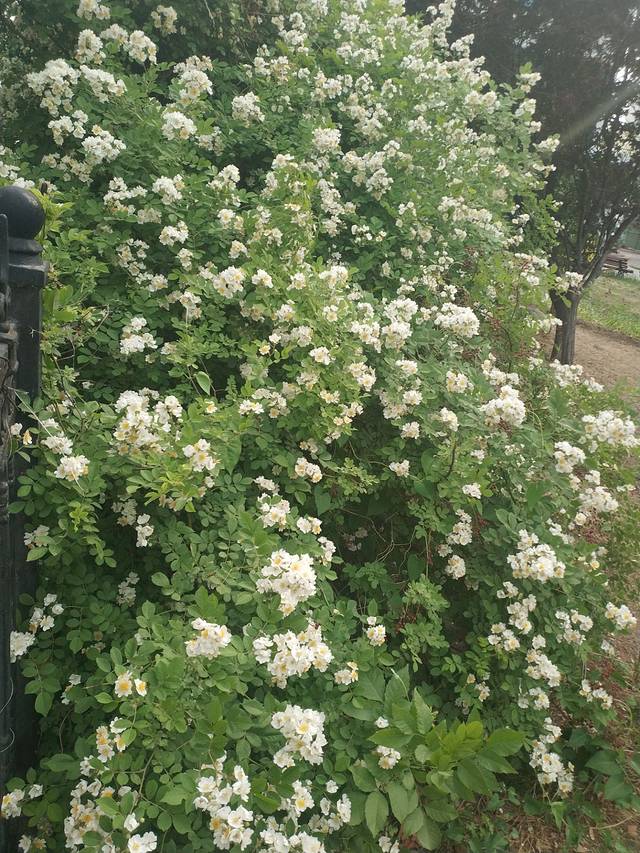 天津市第二工人文化宫