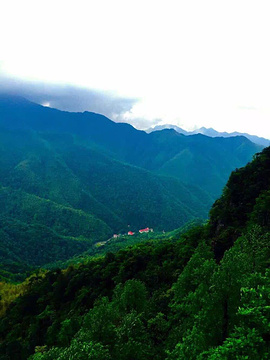 九岭山森林公园的图片