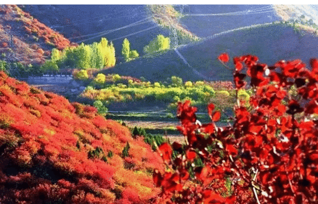 舞彩浅山滨水国家登山步道