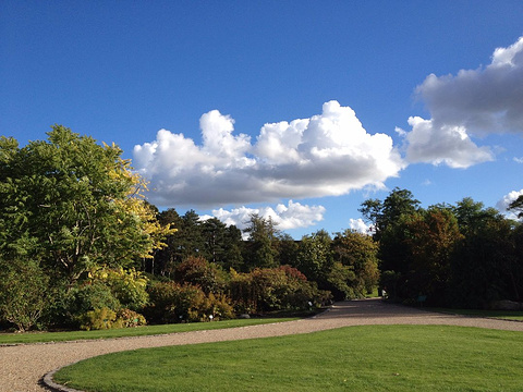 哥本哈根大学植物园旅游景点图片