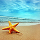 Star Beach