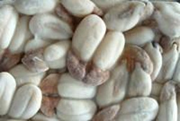 石臼所海鲜农贸市场