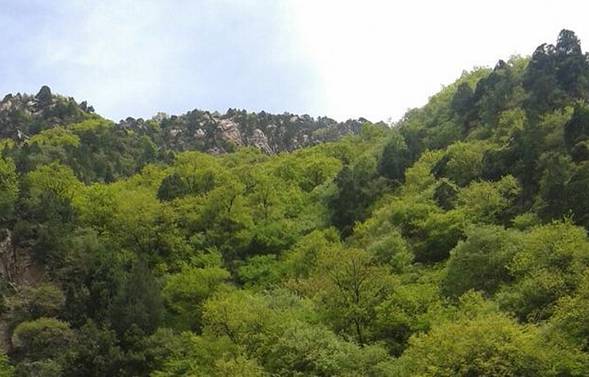 九龙山生态旅游风景区