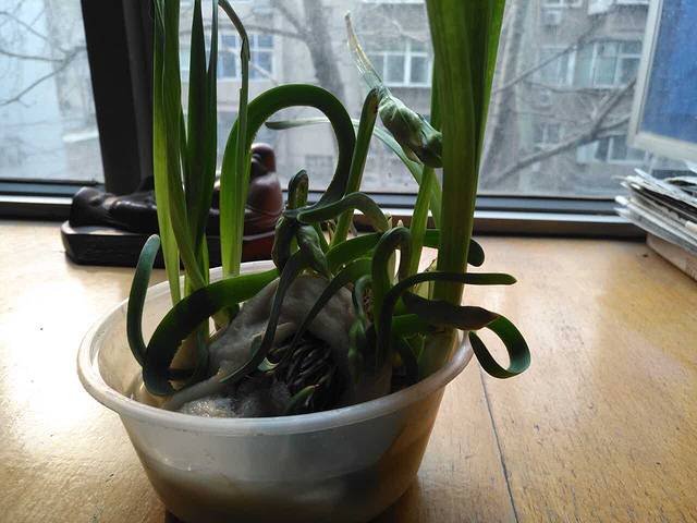 万兴楼饺子城(汇新路旗舰店)