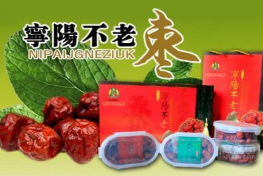 宁阳不老枣专卖店
