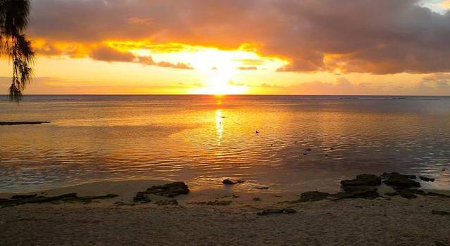 弗利康弗拉克海滩