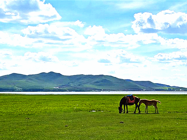 京北草原湿地公园